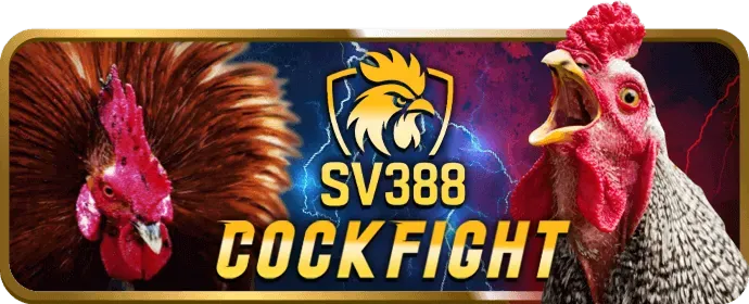 Hoàn Trả Hàng Ngày/Tuần 28bets App